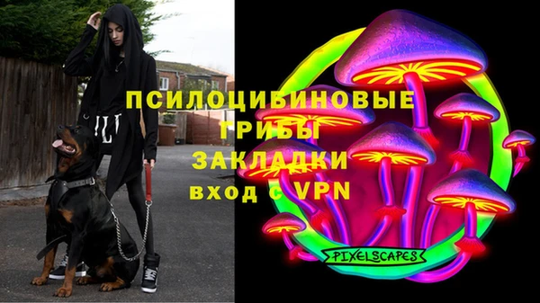 ПСИЛОЦИБИНОВЫЕ ГРИБЫ Балабаново