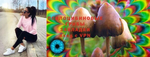 ПСИЛОЦИБИНОВЫЕ ГРИБЫ Балабаново