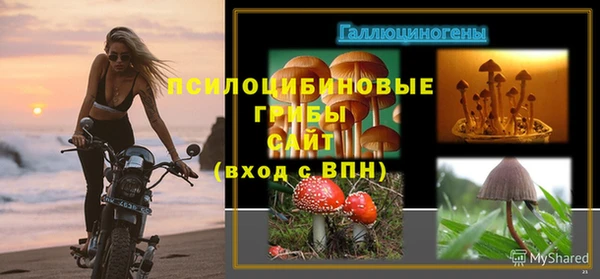 ПСИЛОЦИБИНОВЫЕ ГРИБЫ Балабаново