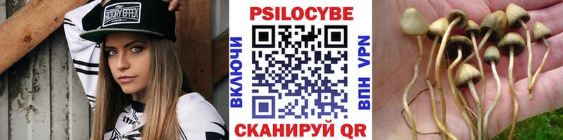 Галлюциногенные грибы мицелий  Суворов 